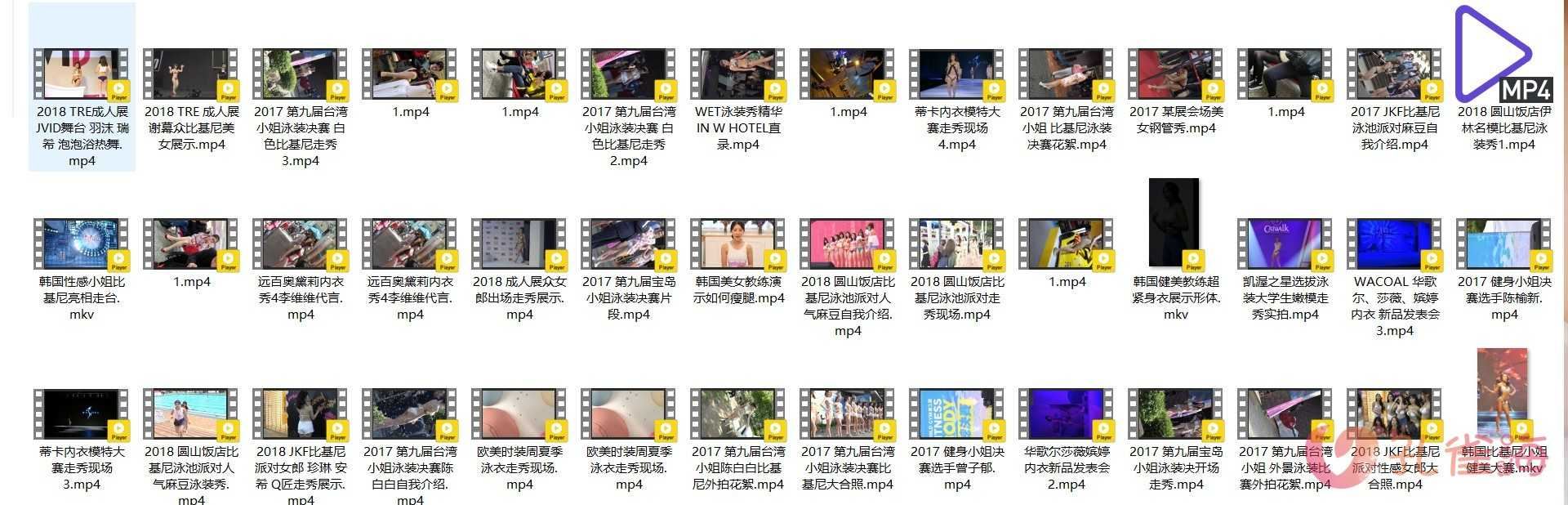 精选模特 明星（韩国女团/韩国车展车模/JKF比基尼派/钢管秀/成人展/内衣秀/时装秀/街拍视频）高清视频合集 共117套写真写真视频[33.60G]-美图