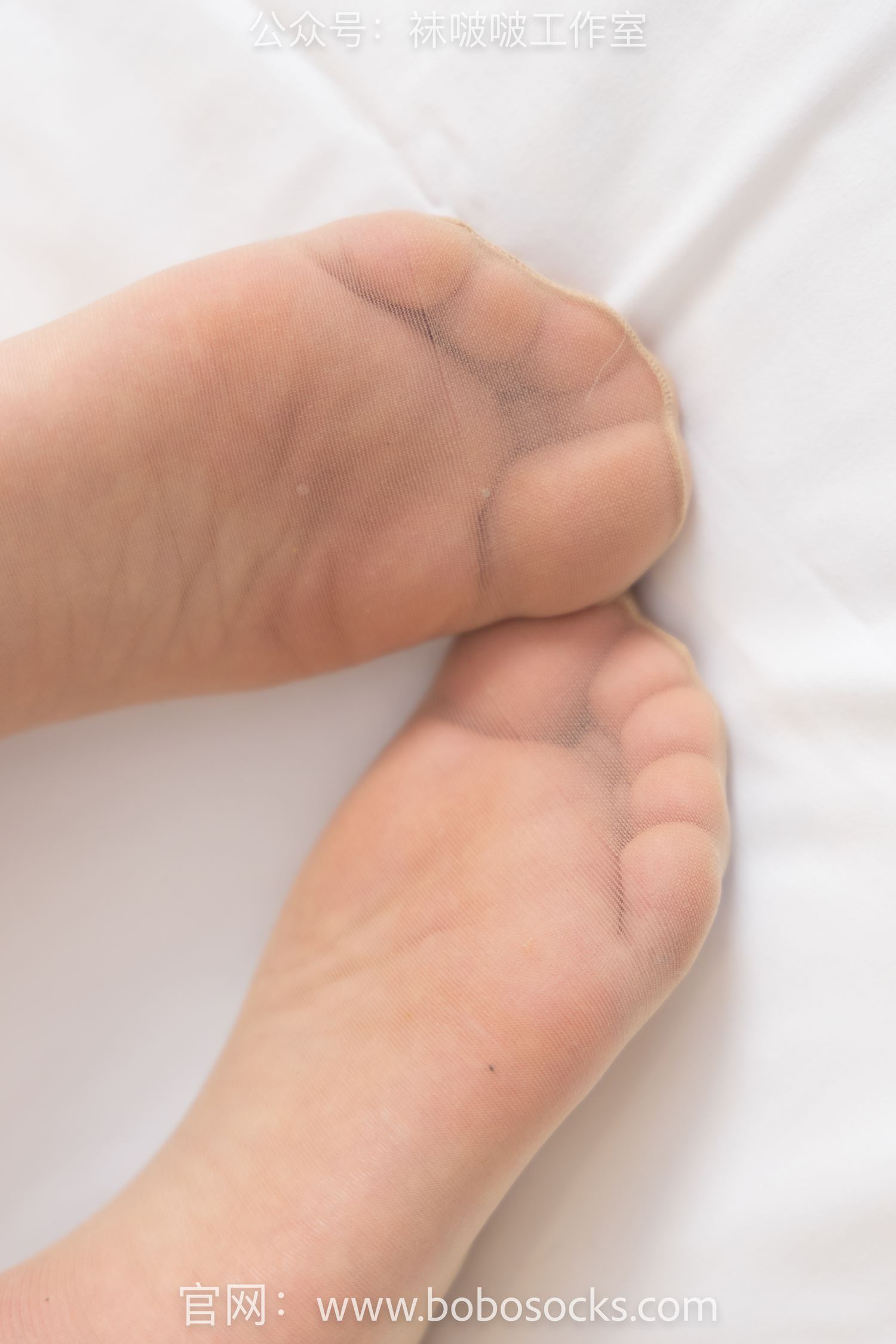 图片[1]-[BoBoSocks袜啵啵]NO.119 苏苏-高跟鞋、高跟凉鞋、肉丝、裸足[140P/1V/6.69GB]-美图